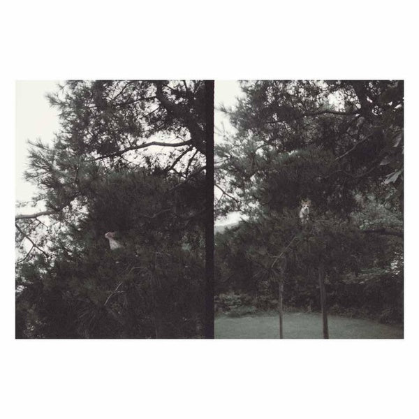 Just Like Any Other Day: Background Music For Your Mundane Activities - Front Cover