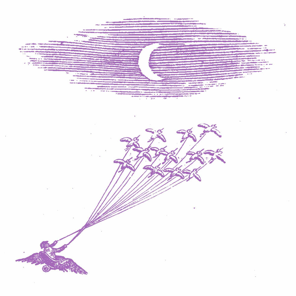 Migration Magic - Front Cover