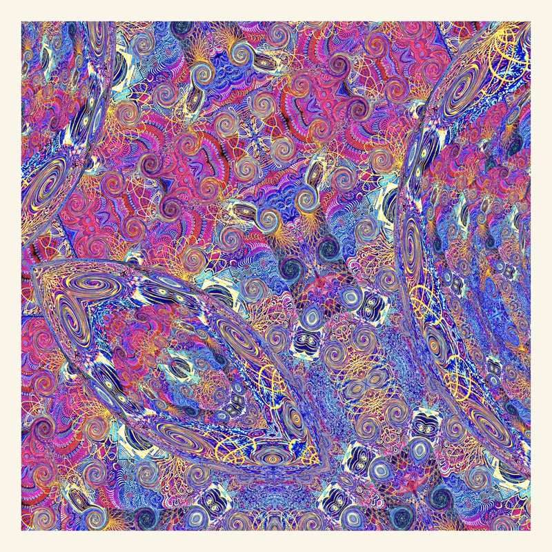 PLACENTA//LIMITED - Front Cover