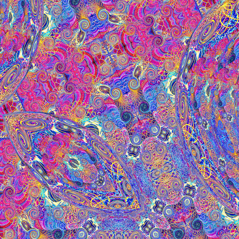 PLACENTA - Front Cover