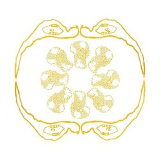 Sea Voids - Front Cover