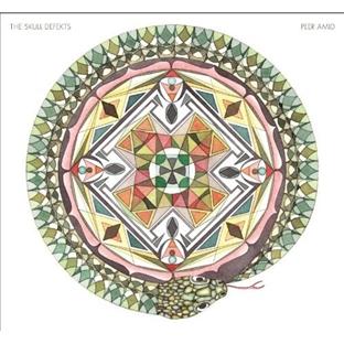 Peer Amid - Front Cover