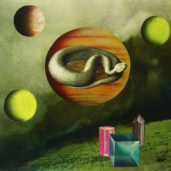 And They Turned Not When They Went - Front Cover