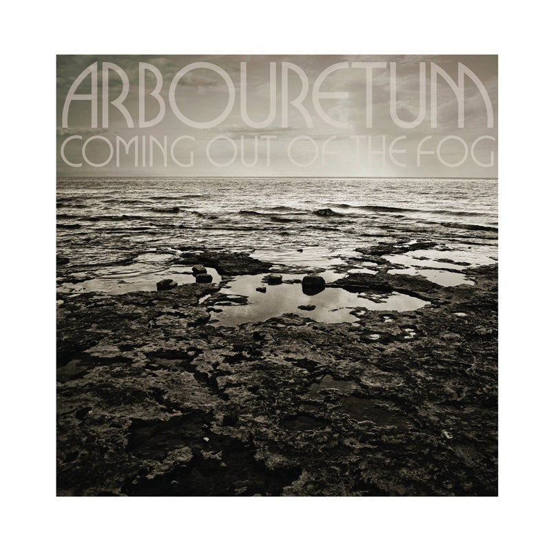 COMING OUT OF THE FOG - Front Cover