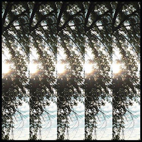 Dialectic of Ignorance/MP3 inclus - Front Cover