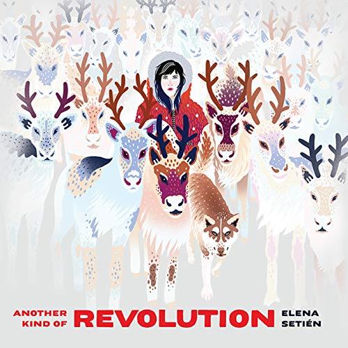 Another Kind of Revolution - Front Cover