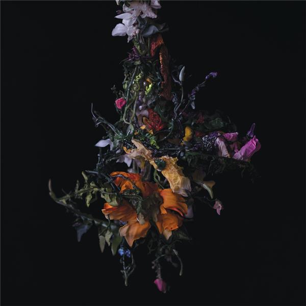 Nature Morte - Front Cover