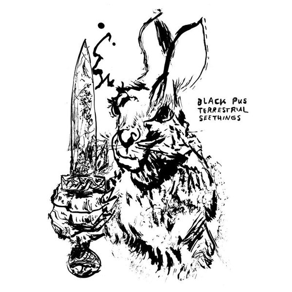 Terrestrial Seethings - Front Cover