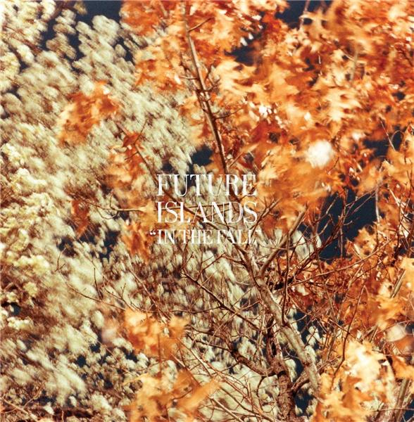 In The Fall - Front Cover