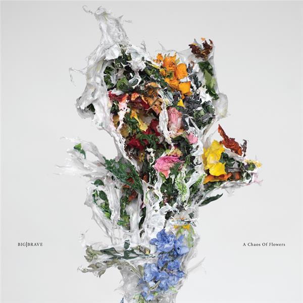 A Chaos Of Flowers - Front Cover