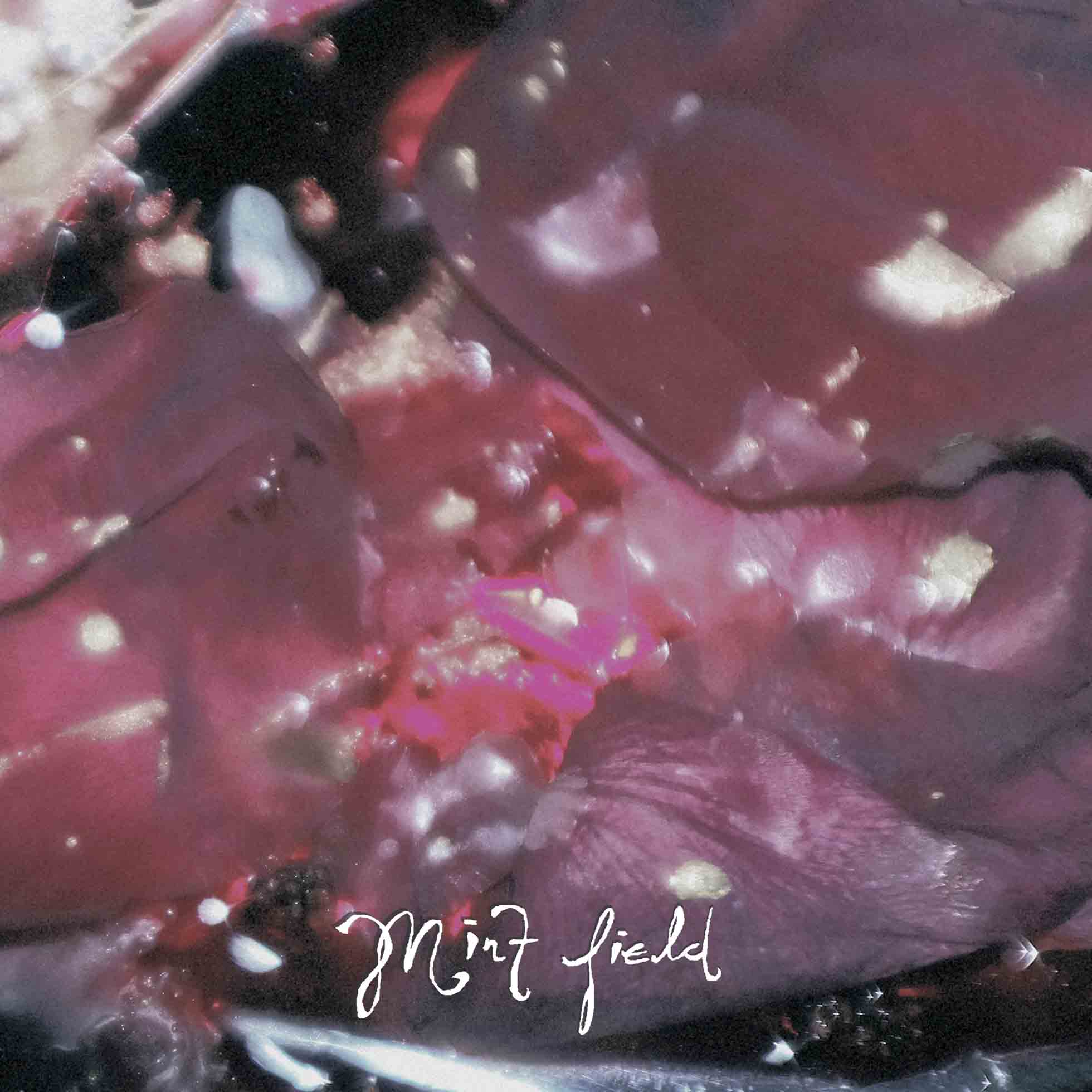 Aprender A Ser - Vinyle Pourpre - Front Cover