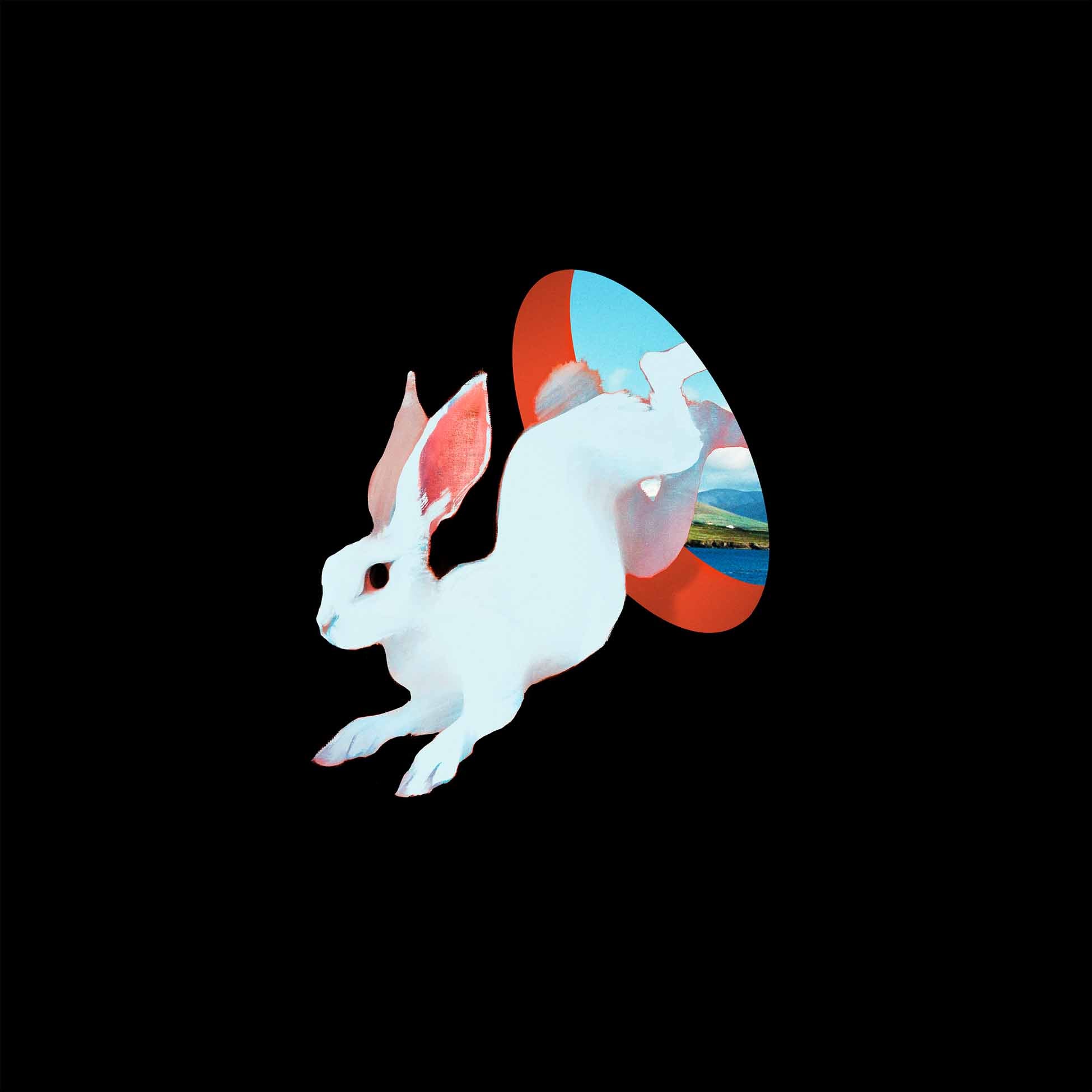 Animal Hospital - Vinyle Bleu Transparent - Front Cover