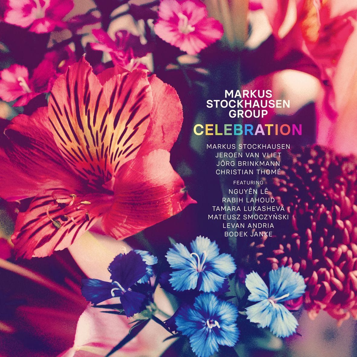 CELEBRATION (2 vinyls) - Front Cover