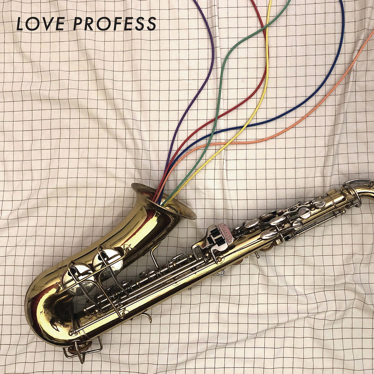 Love Profess - Front Cover