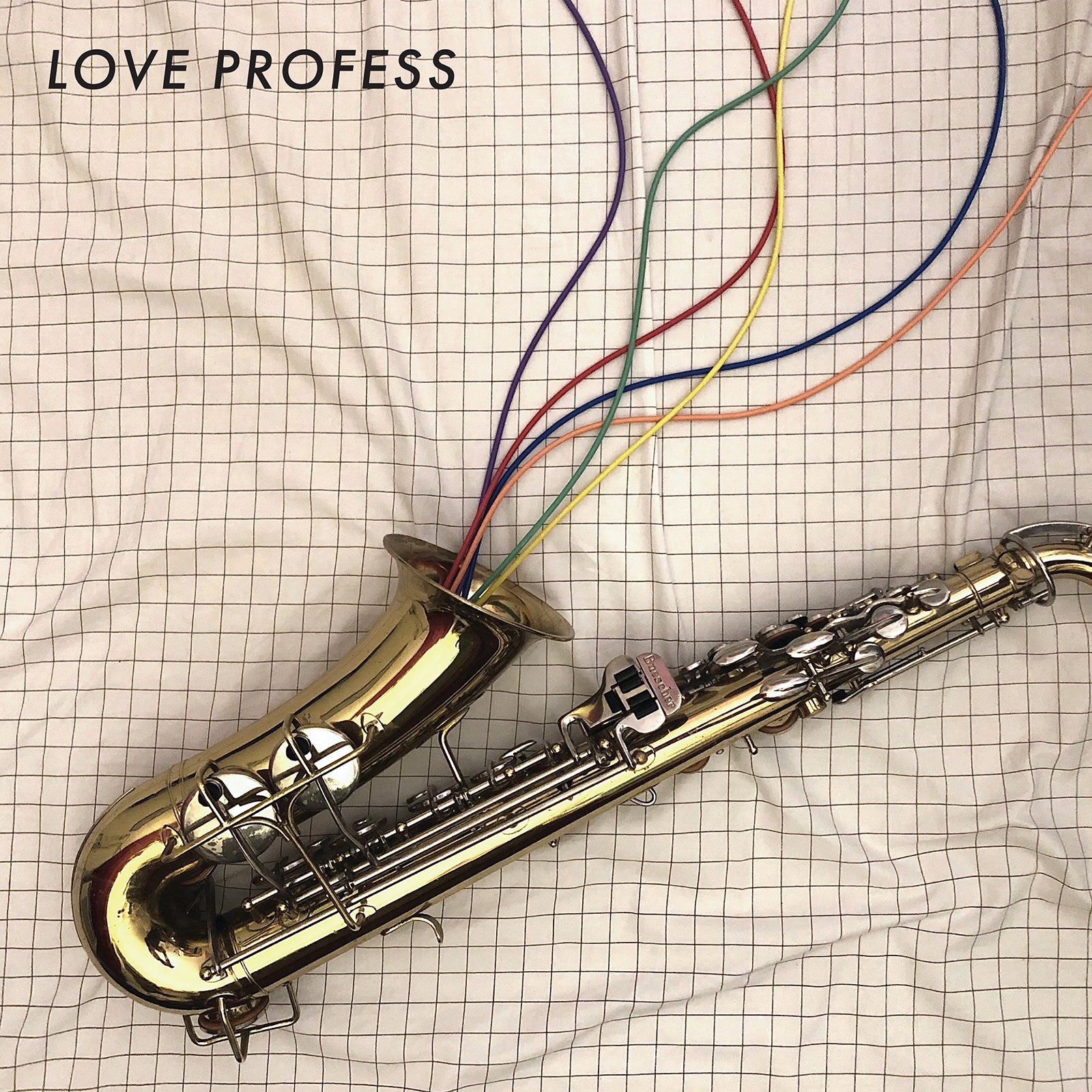 Love Profess - Front Cover