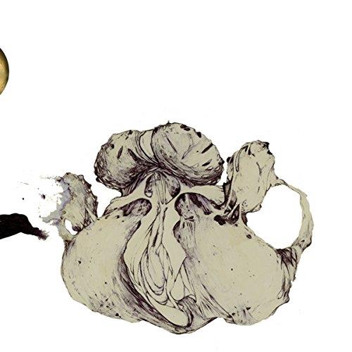 Ape of Naples - Front Cover