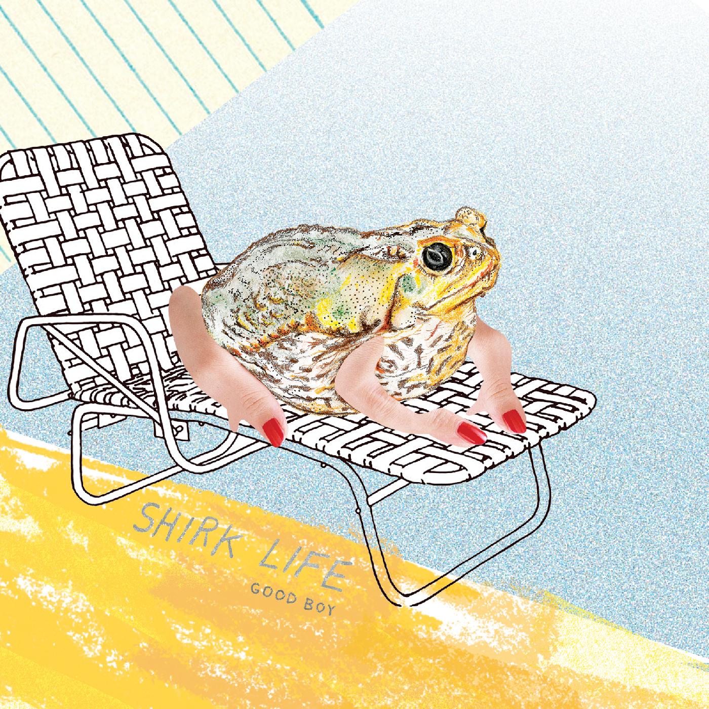 SHIRK LIFE.. -DOWNLOAD- - Front Cover