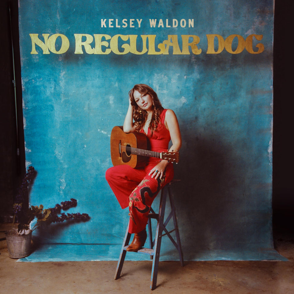 No Regular Dog - Front Cover