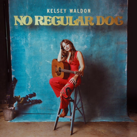 No Regular Dog - Front Cover