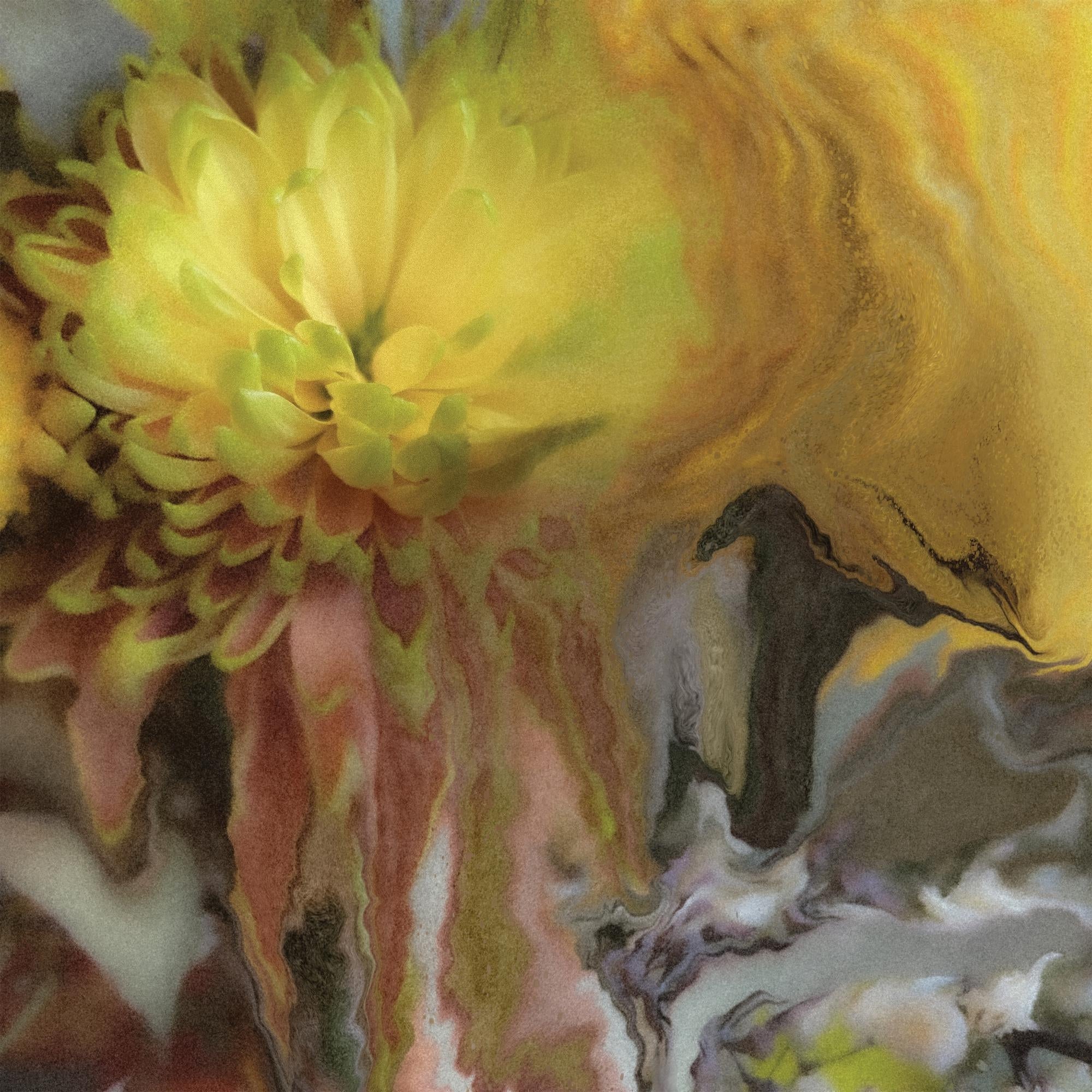 Wilderness Within You - Front Cover