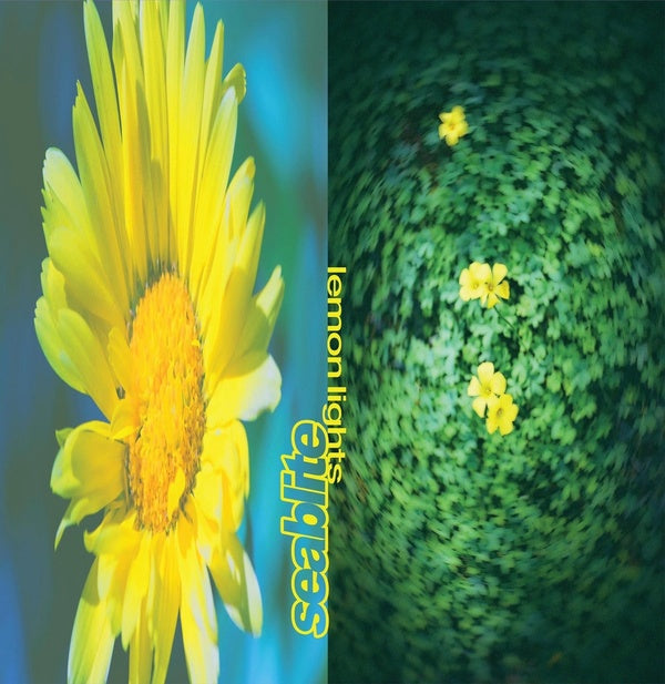 Lemon Lights - Front Cover