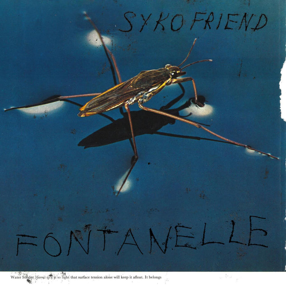 Fontanelle - Front Cover