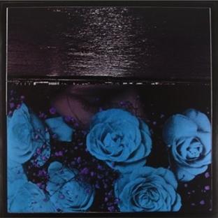 At the Down-Turned Jagged Rim of the Sky - Front Cover