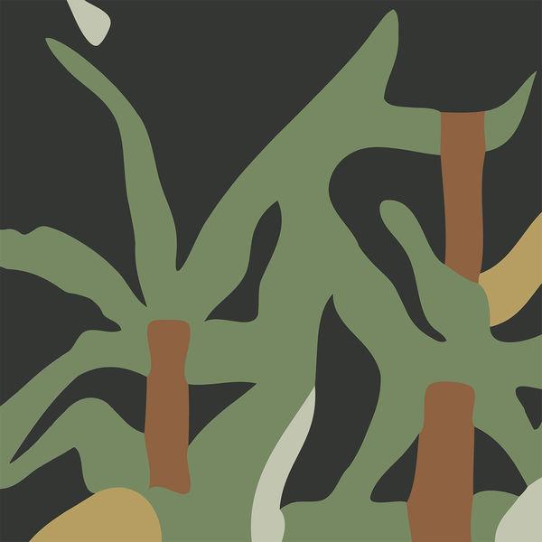 Nature - Front Cover