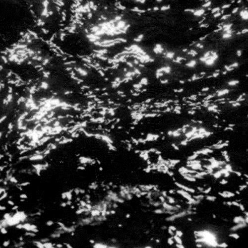 AIA Dream Loss - Front Cover