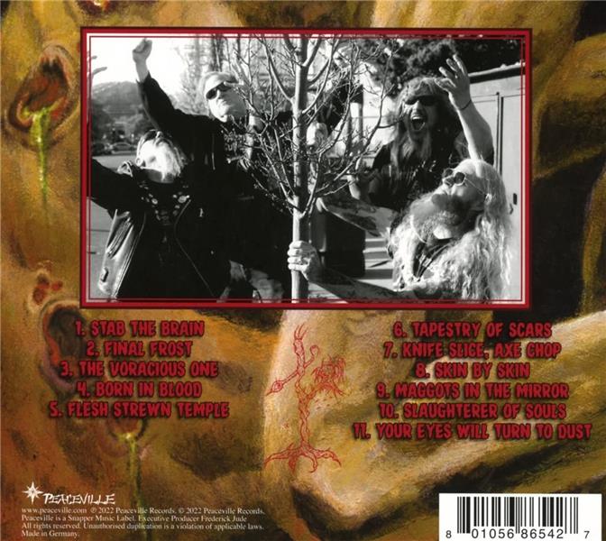 Morbidity Triumphant - Front Cover