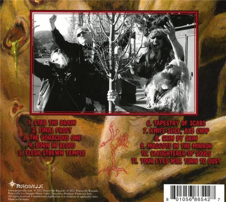 Morbidity Triumphant - Front Cover