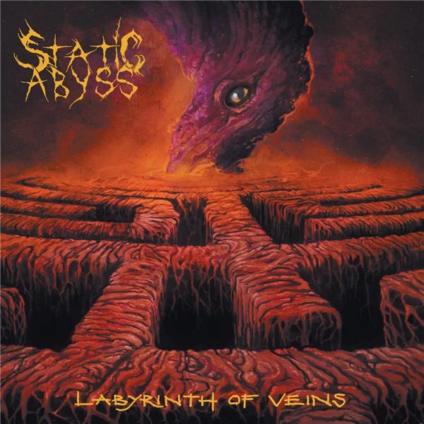 Labyrinth of Veins - Front Cover