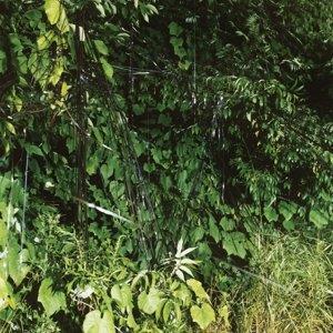 EP C/B EP /Poster + MP3 inclus - Front Cover