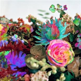 News From Nowhere - Front Cover