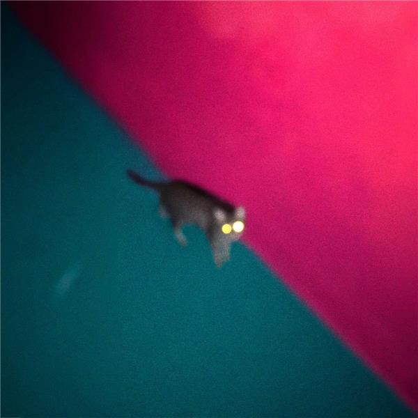 Wallop - Front Cover