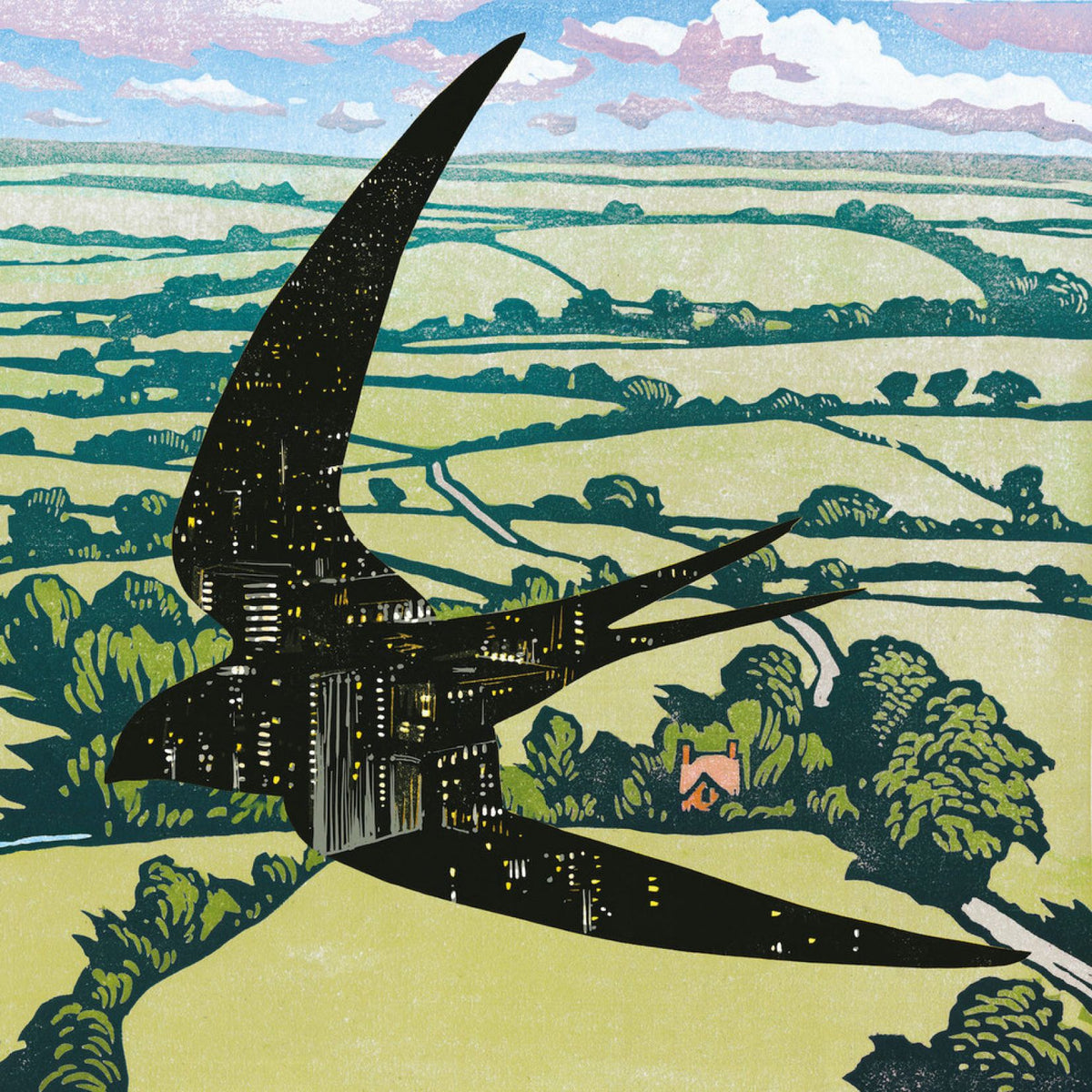 Sleep On The Wing - Front Cover