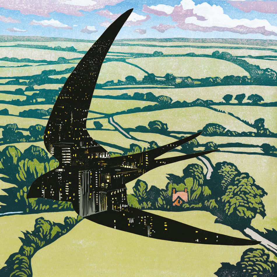 Sleep On The Wing - Front Cover