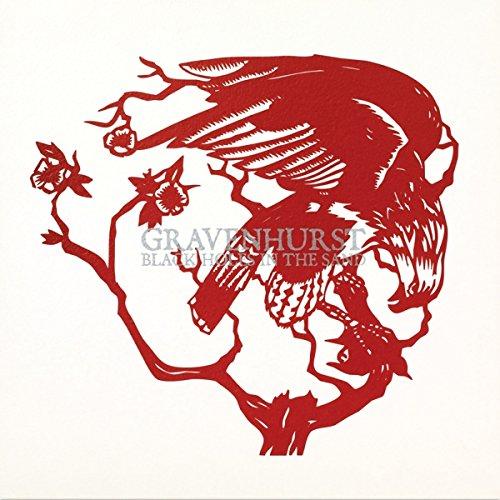 Black Holes In the Sand (+MP3) - Front Cover