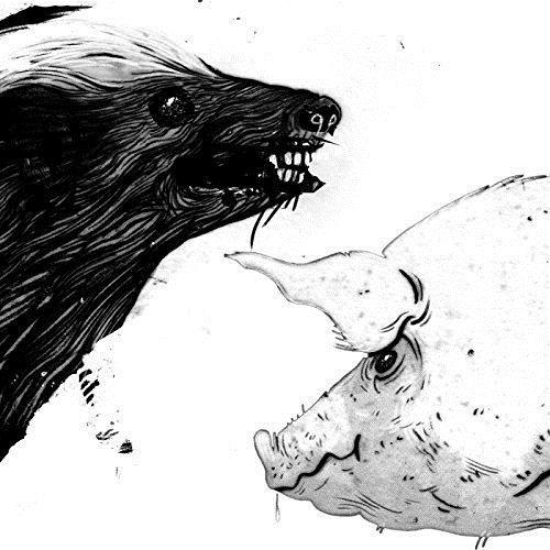 Honey Badger/Pig - Front Cover