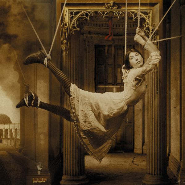 Signify - Front Cover