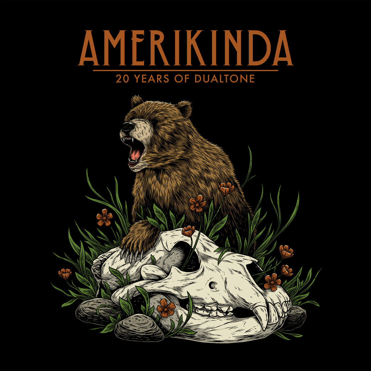 AMERIKINDA/20 YEARS OF DUALTONE - Front Cover