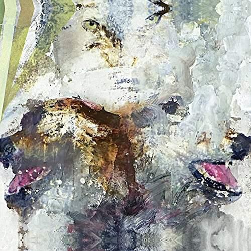 Tail Swallower & Dove/Renal Failure Color Vinyl - Front Cover