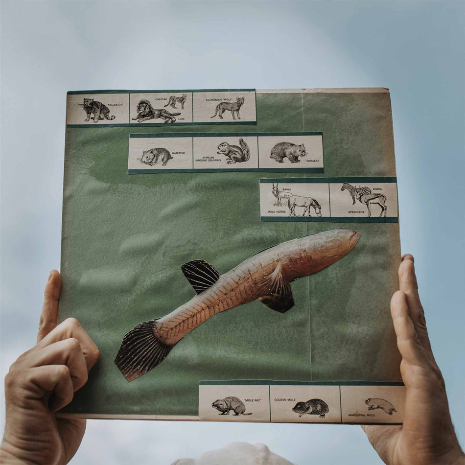 The River Strumming - Vinyle 180 Gr - Front Cover