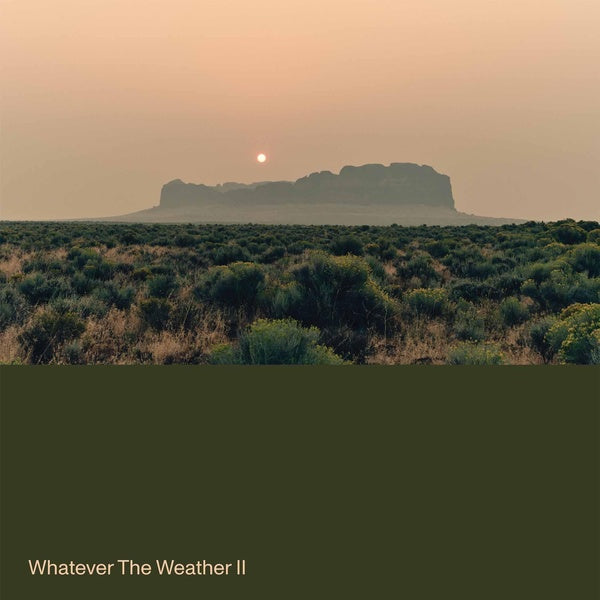 Whatever The Weather II - Vinyle Vert - Front Cover