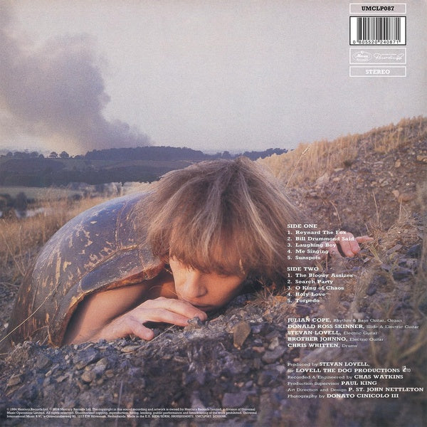 Fried - Front Cover