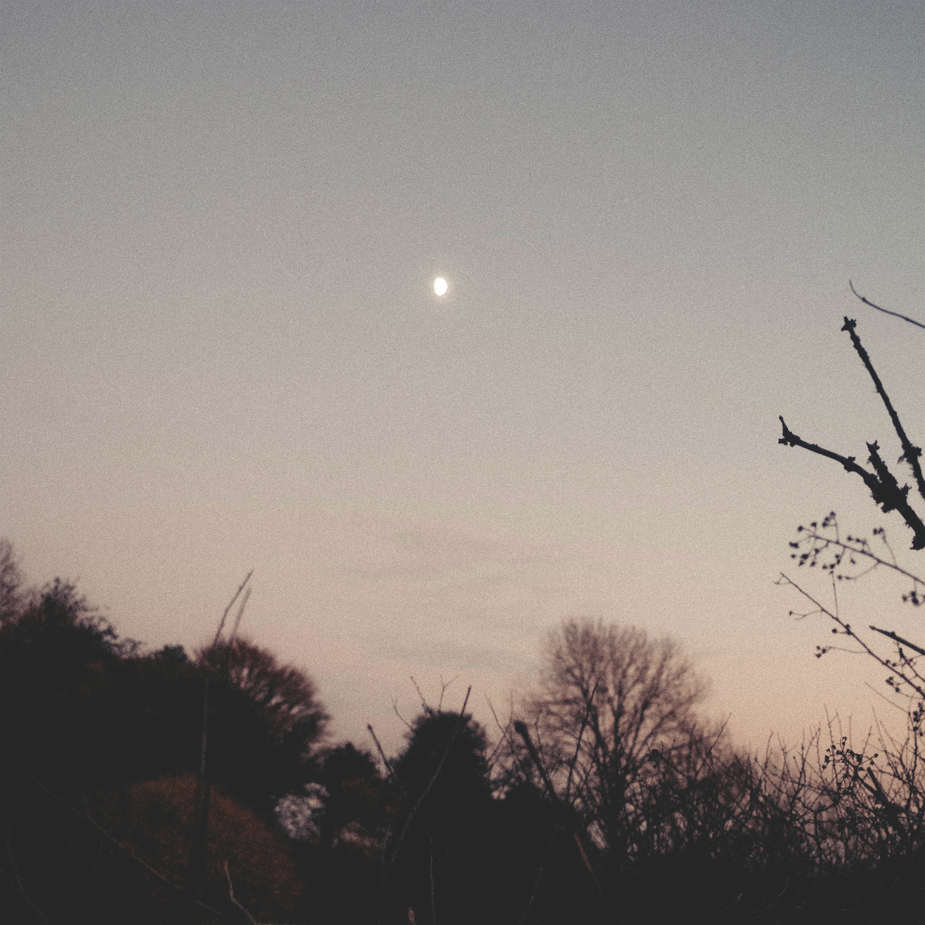 DREAMER AWAKE/VINYLE TRANSPARENT - Front Cover