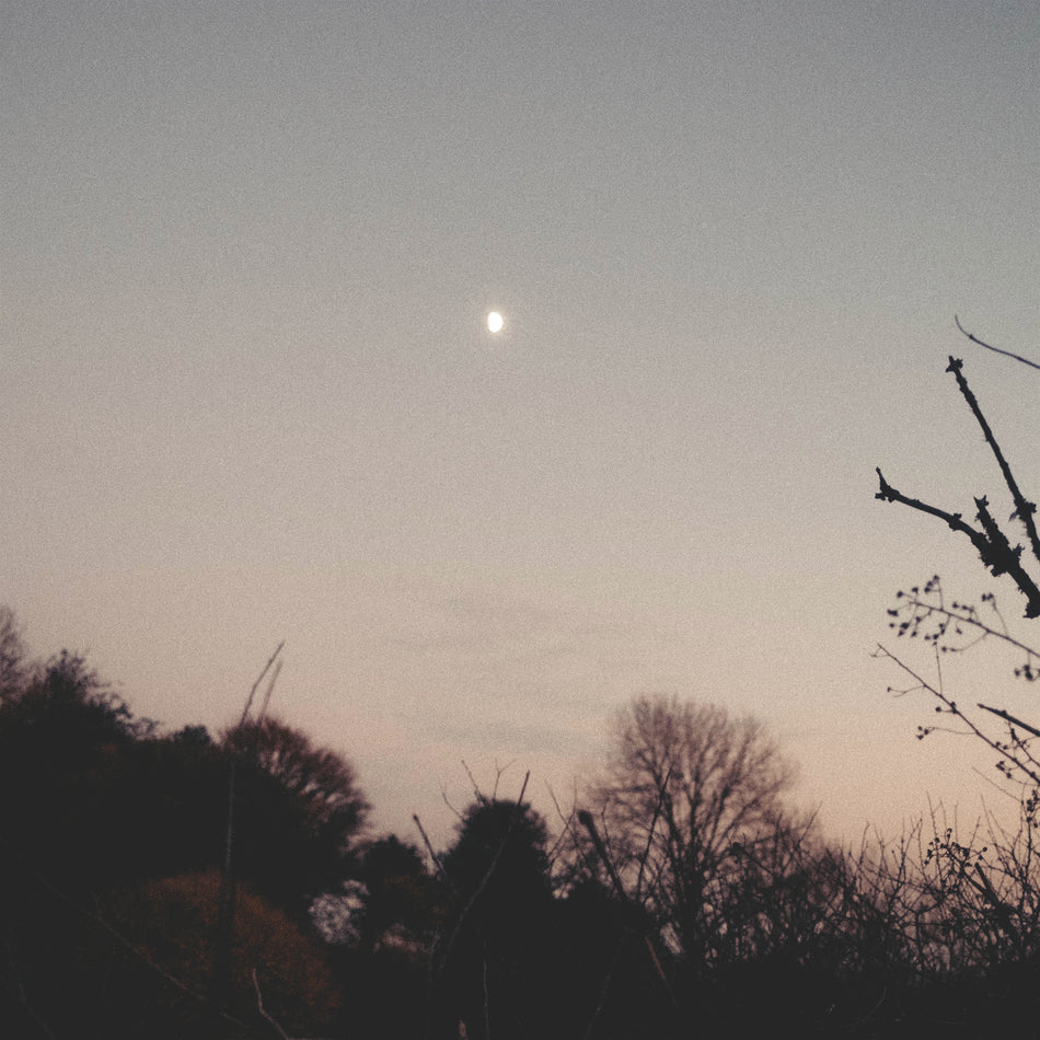 DREAMER AWAKE/VINYLE TRANSPARENT - Front Cover