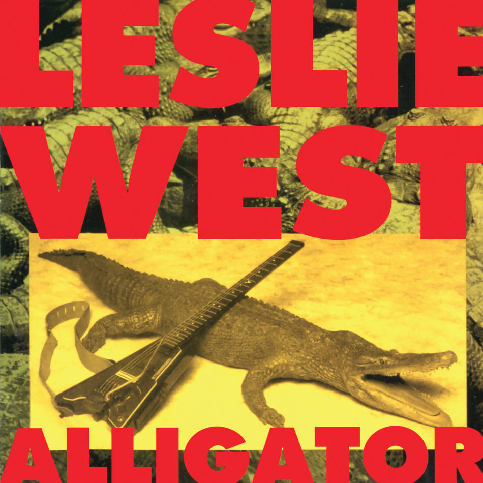 ALLIGATOR - Front Cover