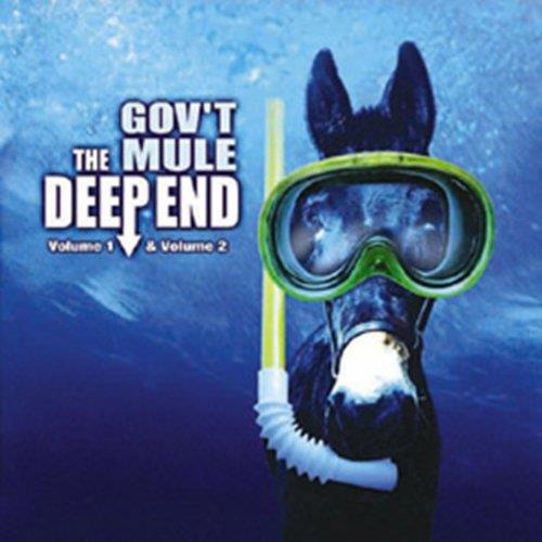 Deep end vol 1 et 2/hidden treasures - Front Cover