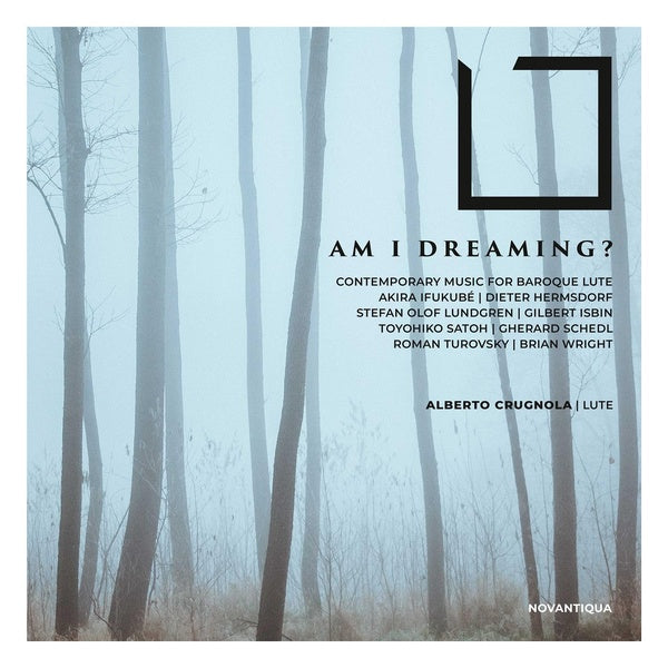 Am I Dreaming / Contemporary Music For Baroque Lute - Front Cover